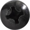 Car-Pak # 99-8526 - Image 2